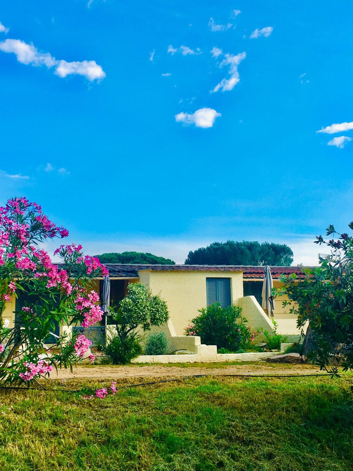 Bungalows Filippi Porto-Vecchio  Bagian luar foto